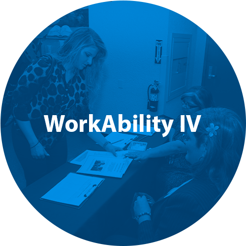 Workability IV